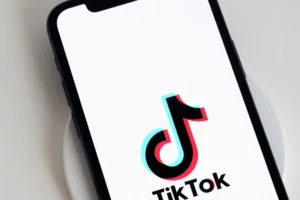 TikTok-Ads-Guide-Blog-Guide-Line-300x200